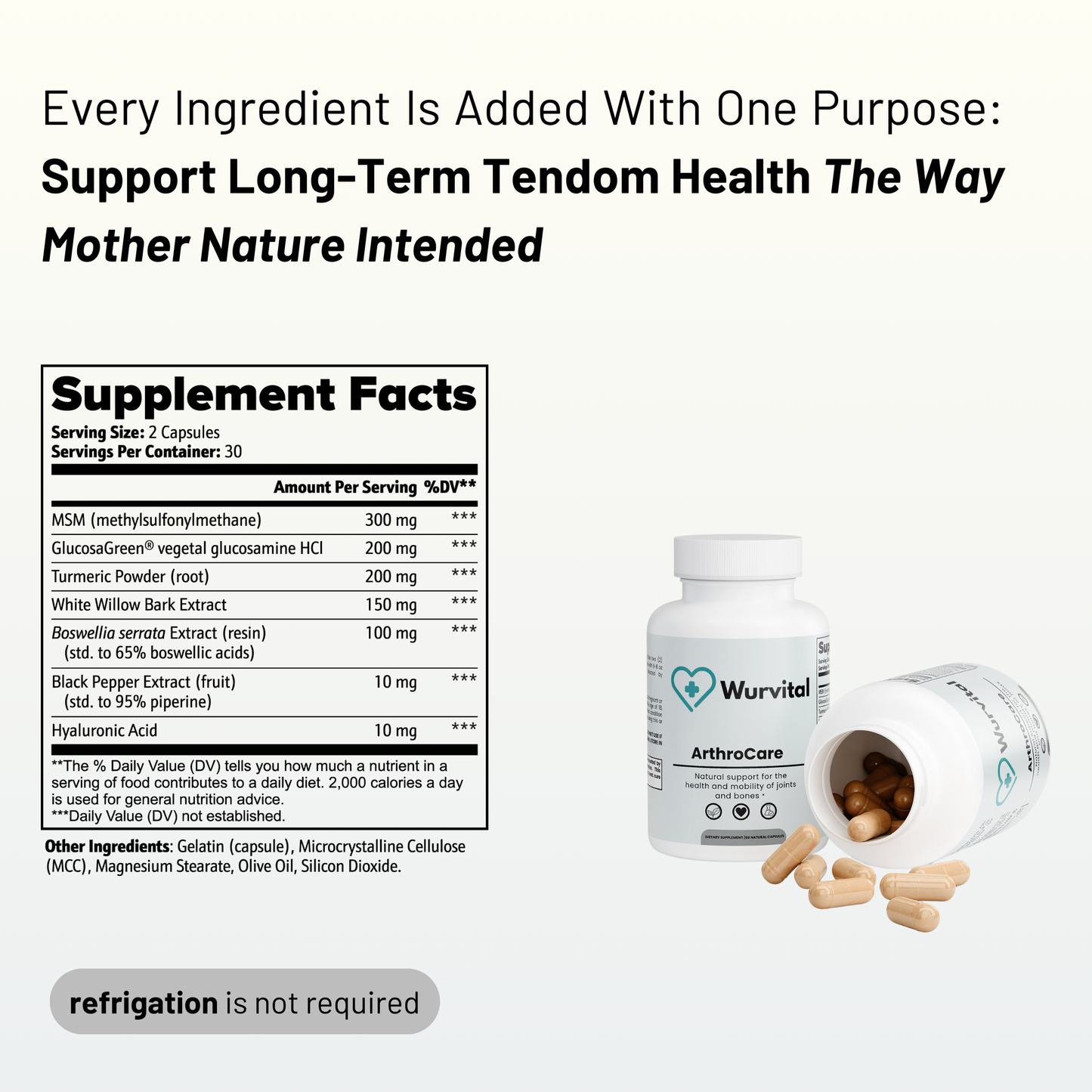 New Maximum Potency Formula - ArthroCare Joint Support